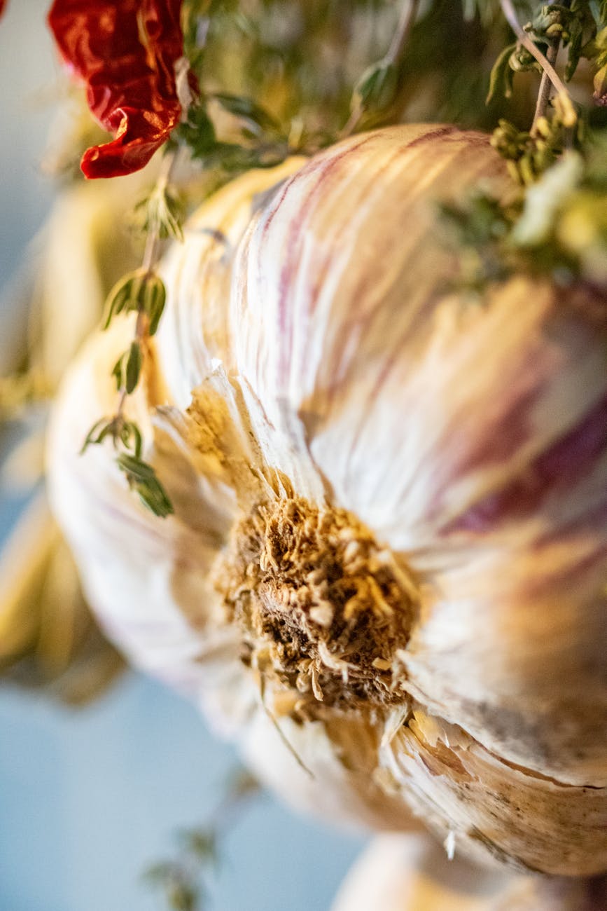 photo of a fresh garlic
